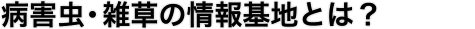 病害虫・雑草の情報基地とは？